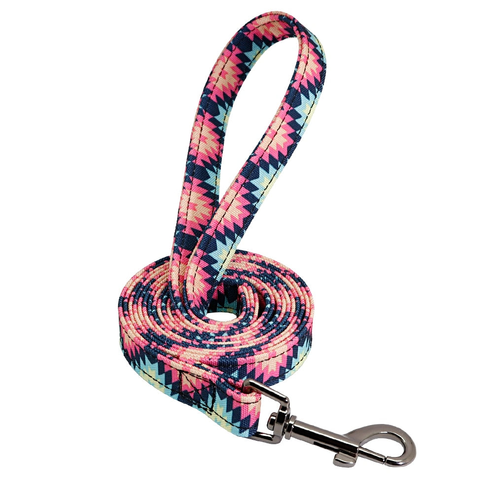 Patagonia Collar and Leash