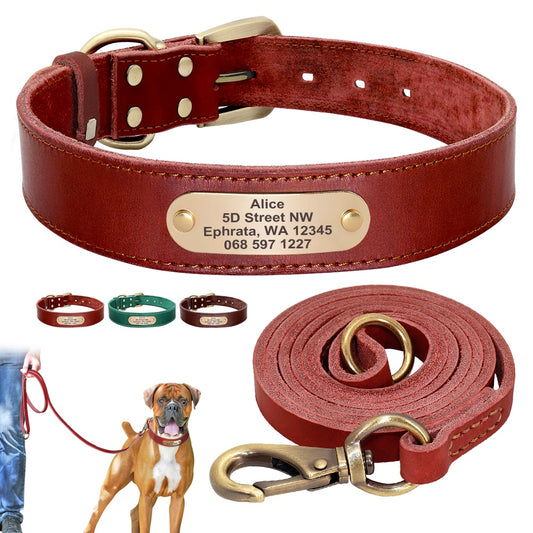 Terra Custom Leather Collar and Leash