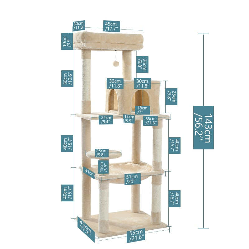 Árbol De Gato La Mansión