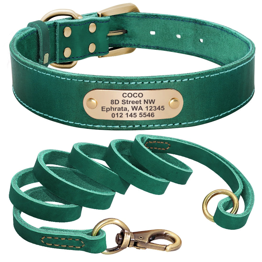 Terra Custom Leather Collar and Leash