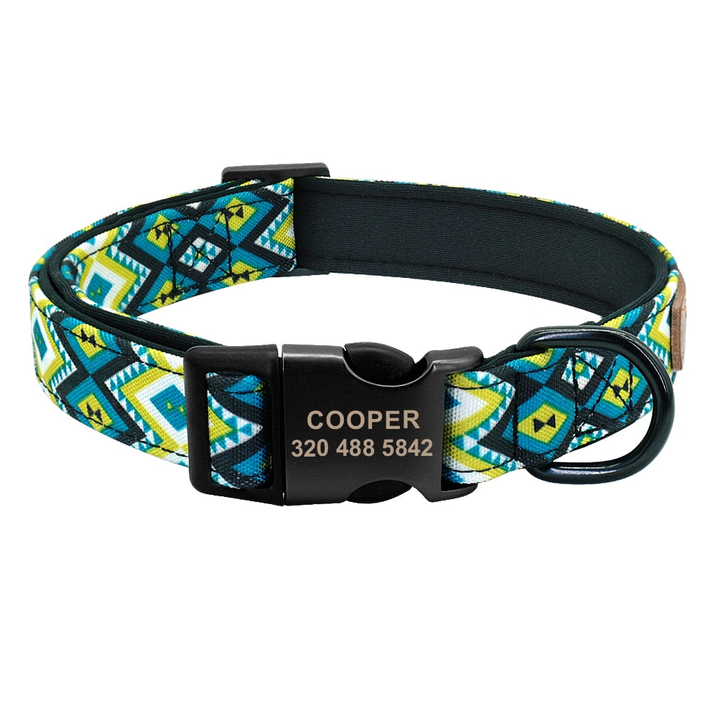 Patagonia Collar and Leash