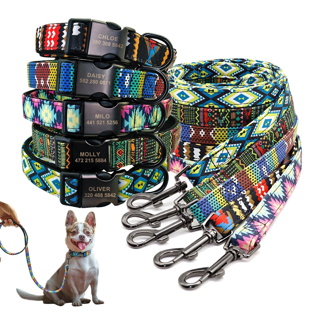 Patagonia Collar and Leash