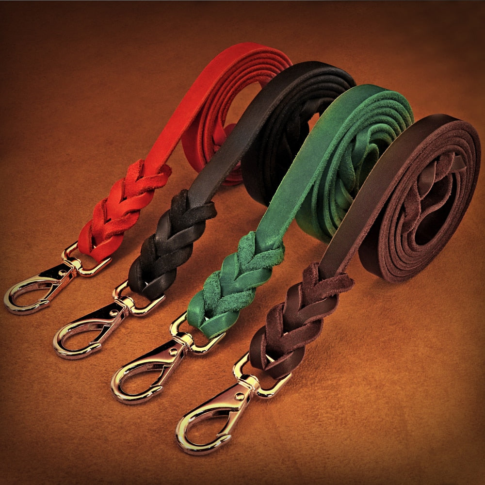 Braided Dog Leather Leash - 5'