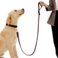 Braided Dog Leather Leash - 5'