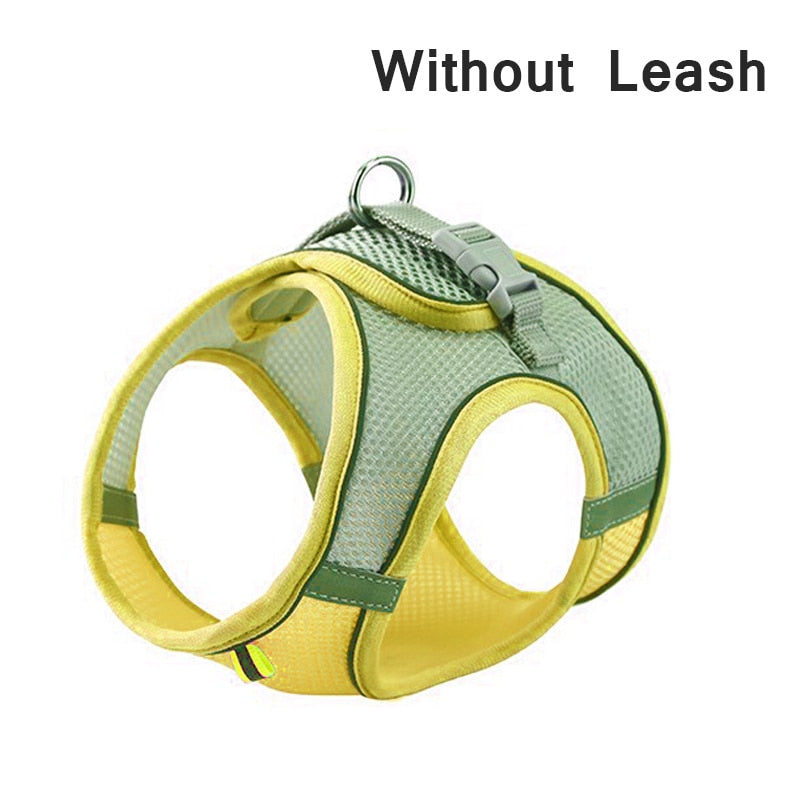 Pastel Harness & Leash