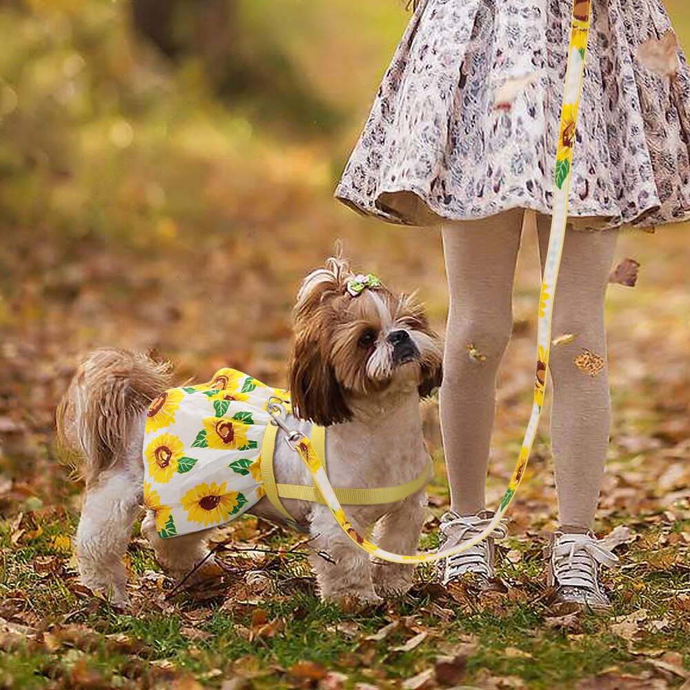 Floral Summer Dress Harness and Leash Set