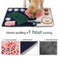 Dog Snuffle Mats with Non Slip Bottom