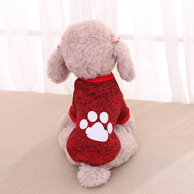 Cute Paws Sweater