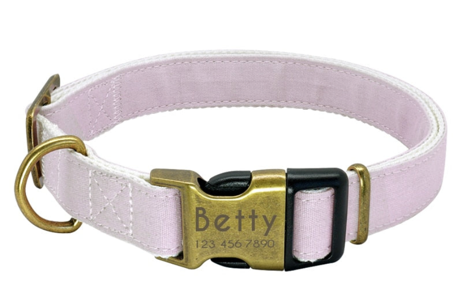 Palette Custom Collar Collection