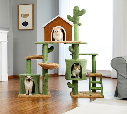  Colección de Muebles de Gato Cactus