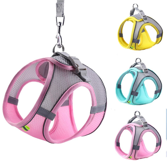 Pastel Harness & Leash